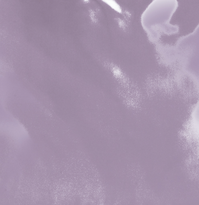 Lavender 4pk Pillowcase Bundle Standard KITSCH